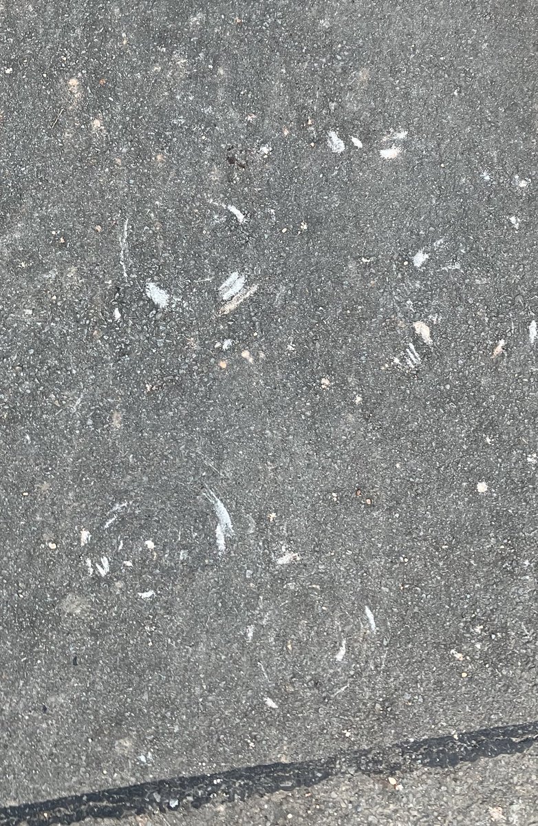 profrobmason's tweet photo. Round in shape, scraped in circular patterns on tarmac. These have started appearing across the country in carparks and driveways. Are they linked to #cropcircles & #alienactivity? Can anyone suggest what they could possibly mean? Is it a language that could be deciphered #alien https://t.co/dOjCSKMWXh
