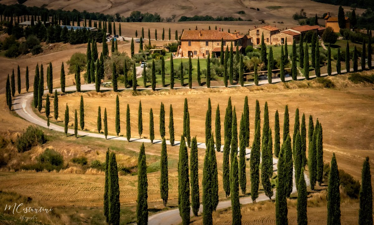 Max984's tweet photo. I took this picture this summer, when I was travelling with in the tuscan countryside.

This is the first photo I posted on @100ASAOfficial  and it was selected to be published in the prime gallery!

#tuscany #landascape #cretesenesi #summer #countryside #cypress #100asa https://t.co/QGEAh09sim