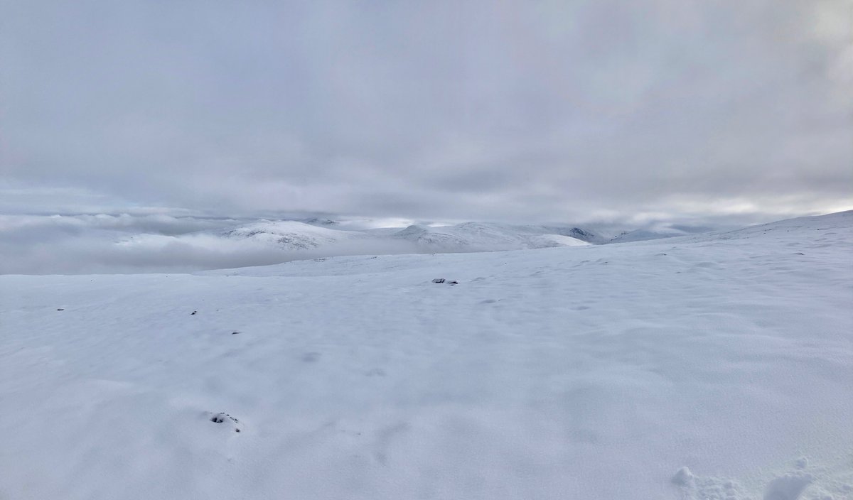 AKHoadley's tweet photo. A beautiful snowy hike up Morrone by Braemar recently❄️🏔️

Nothing like a weekend in the Cairngorms, topped off by an eagle sighting 🦅 plus dippers, stags and red squirrels 🦌🐿️ https://t.co/Tp89AAzJP0