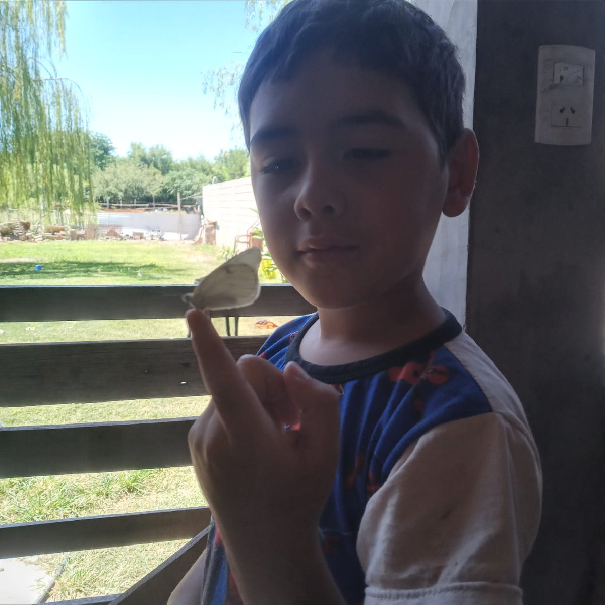 Nikkk0000's tweet photo. a mi hermano se le puso una mariposa en su dedo y dijo que era su abuela, lo amo❤‍🩹 https://t.co/fqfcMwOAC7