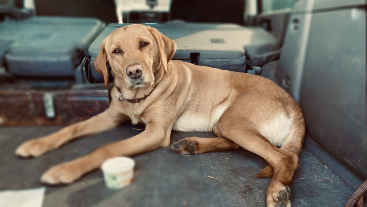 Eleanor Durdy tweet media