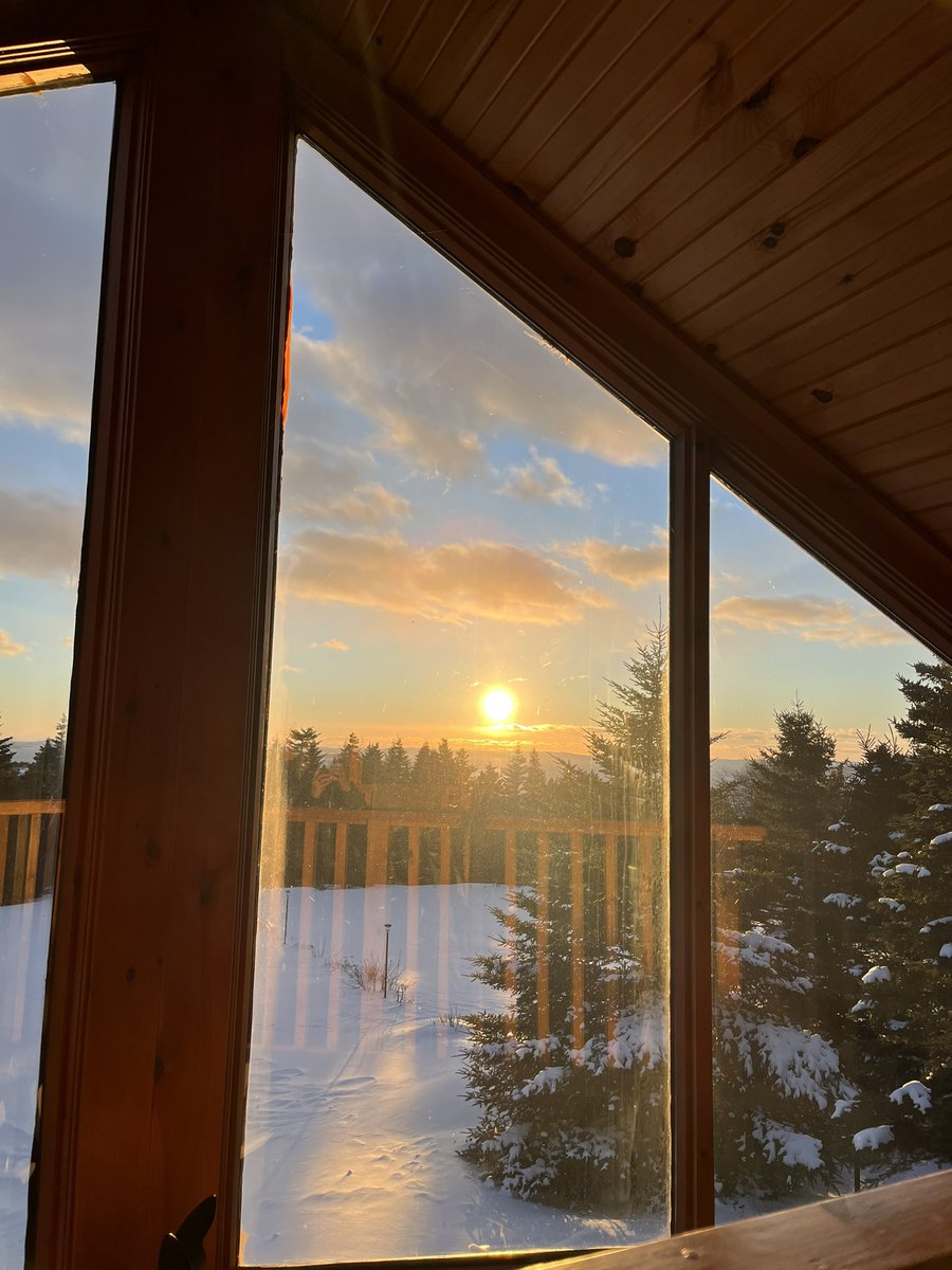 Every once in a while I look outside and think awe so pretty, step outside and retreat like a groundhog 🥶🥶🥶🥶-20 Celsius #nlwx