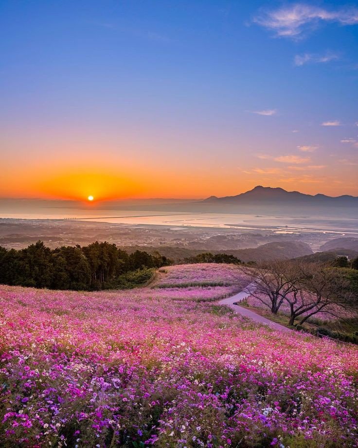 MARY_ESMAEELI's tweet photo. ☀️
Good morning dear friends 

#nature #photography https://t.co/cenOHO5TcN