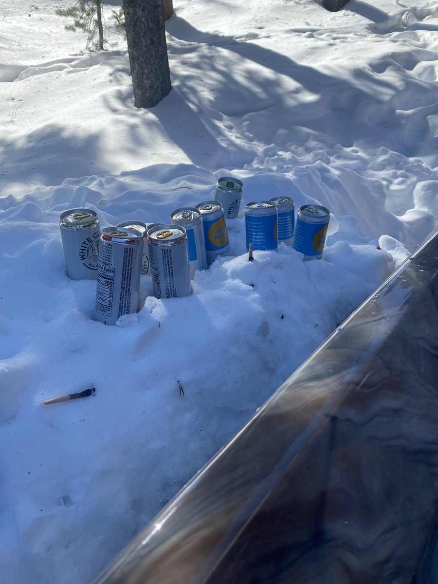 Minnesota Dick tweet media