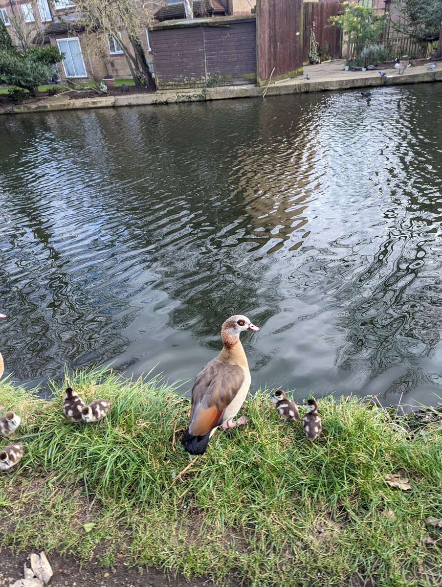 Trader Rai tweet media