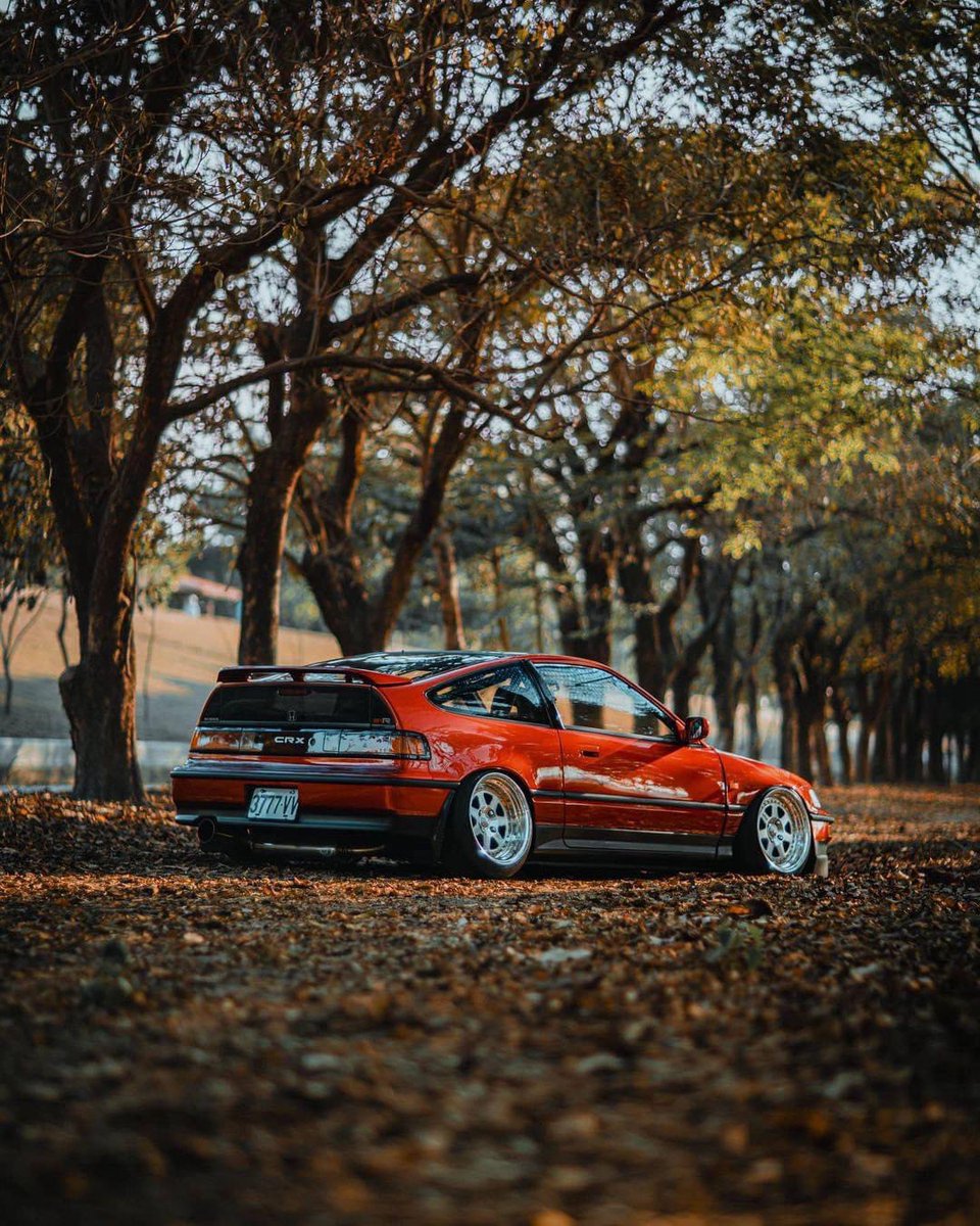 stanceit's tweet photo. Honda CRX ❣️ https://t.co/h8sG7zUXdf