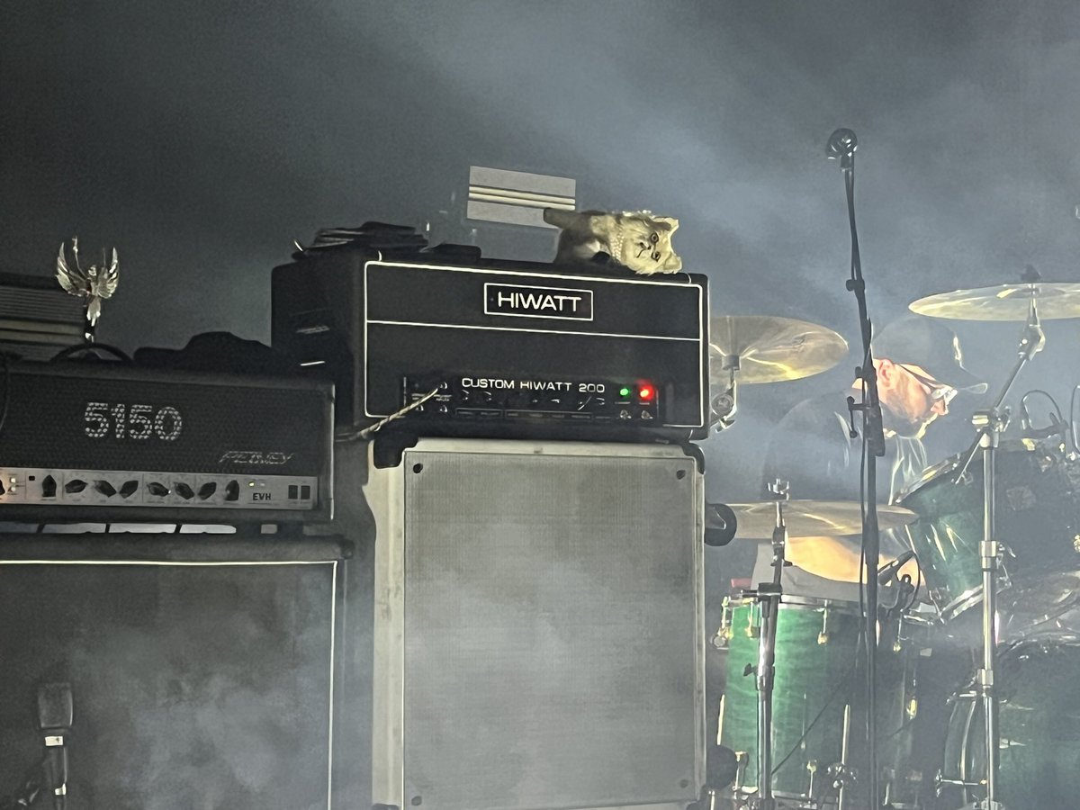 No Edits tweet media