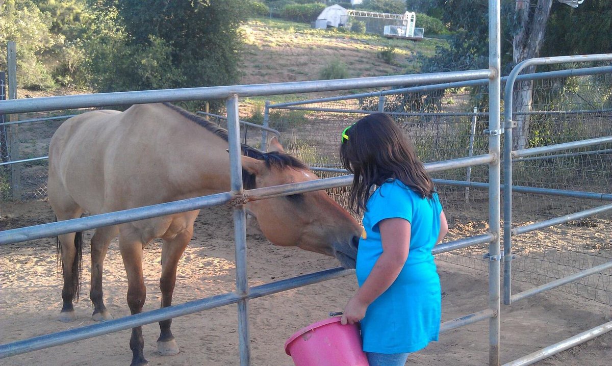 tammy_knopp's tweet photo. I miss you every day Goose ♥️ https://t.co/KJI6rWodxY