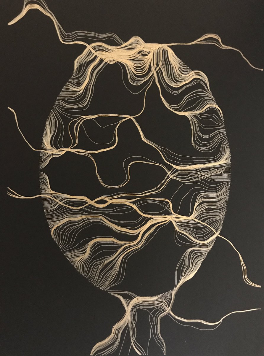 EmmanuelVdeV's tweet photo. Iterations of Fluid Masks #uniball Signo metal pens on Fabriano Bristol Black Black paper. #processing #generativeart #plotter #plottertwitter #abstractart #lineart #axidraw https://t.co/cEP0436JFd
