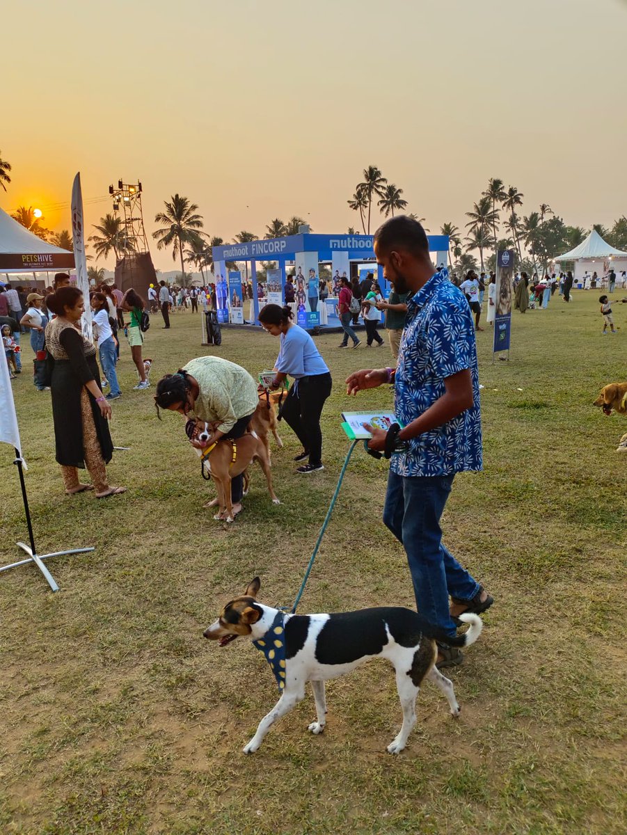 sriramalouette's tweet photo. Day out with Maggie #woof #pawsome #dogdayout #lovingcochin https://t.co/8YxQGAAcY7