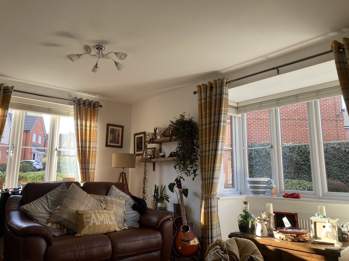 shelldabird1's tweet image. There’s just tooooo much glass 🙈 the thing you do to avoid writing an assignment 🤣