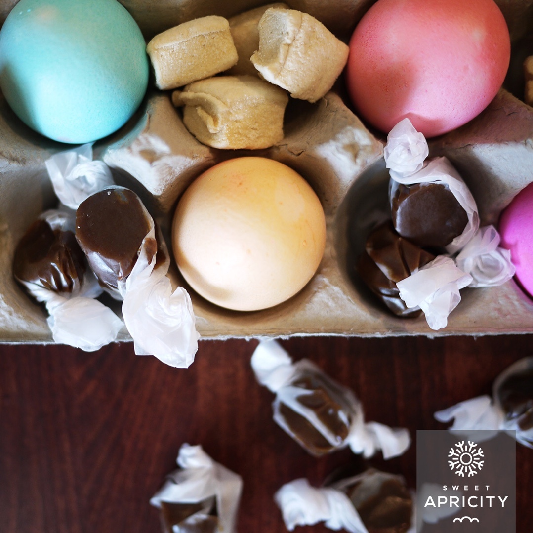 AIP Recipe Collection tweet media