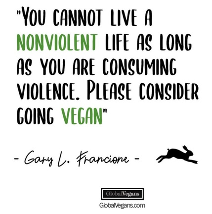 Vegan Future (@veganfuture) on Twitter photo 2023-02-26 19:28:00