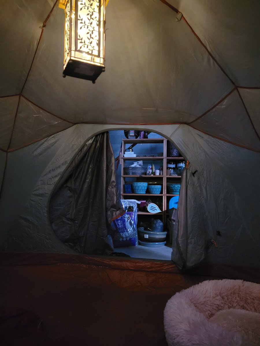 aetherial_dragoness tweet media