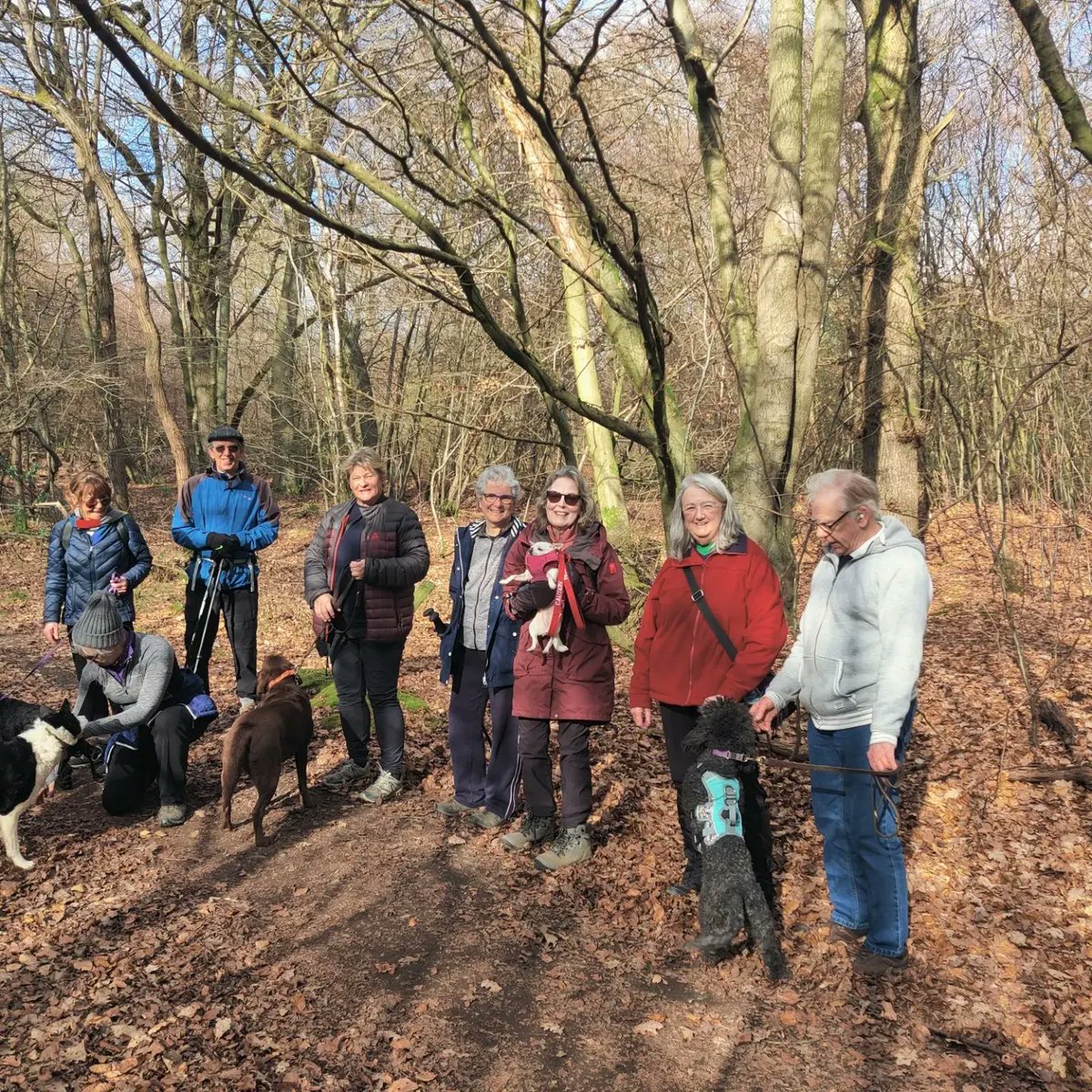 Walxridgeway tweet media