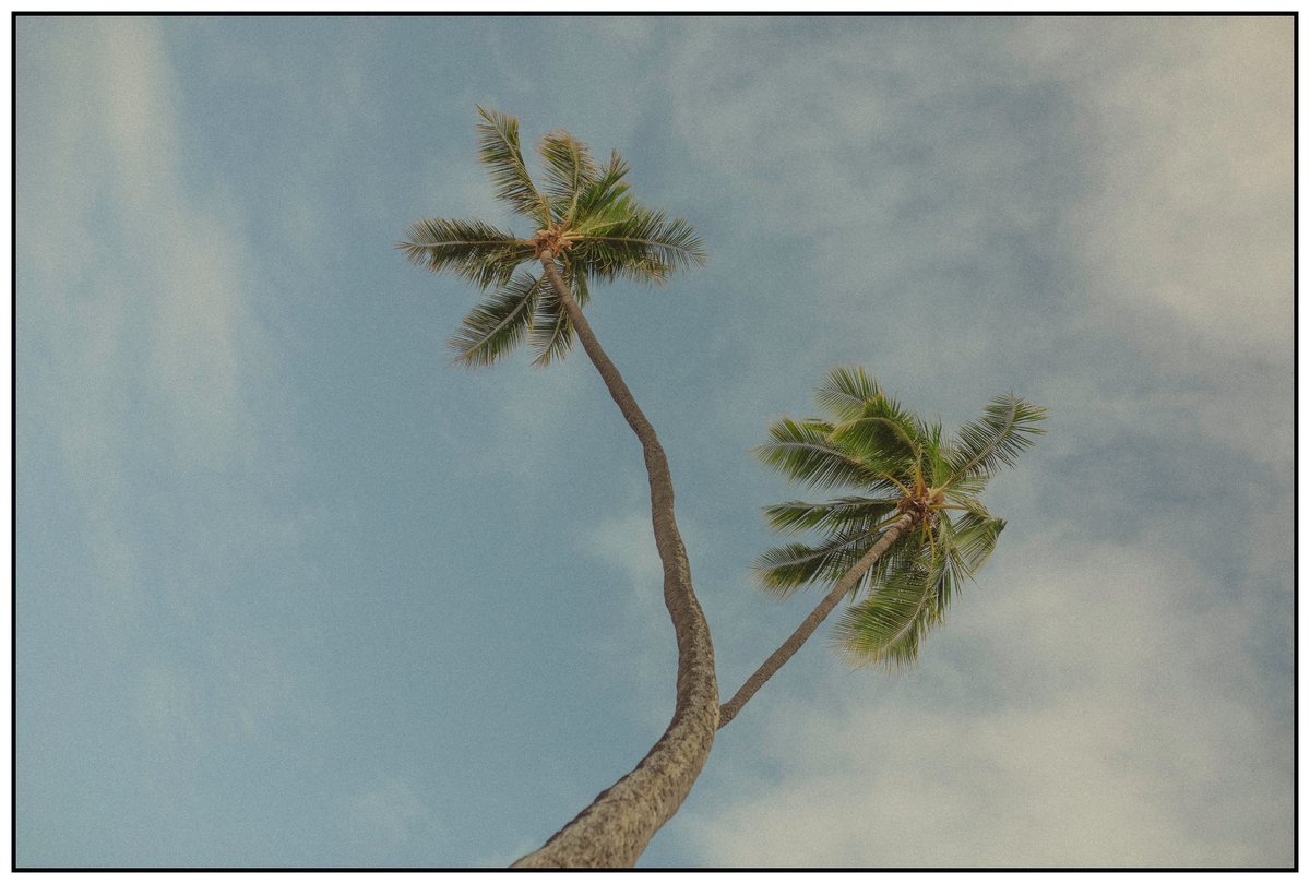 ContrerasAlex_'s tweet photo. oahu, hawaii 2021 https://t.co/Jftkf6biFN