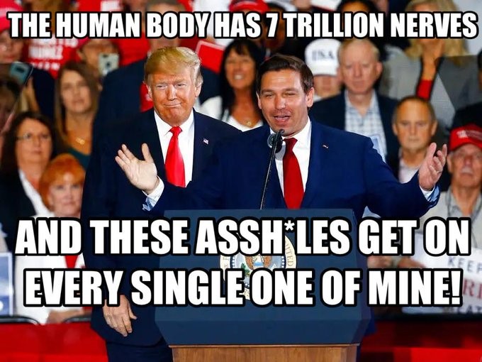 namwella1961's tweet photo. There is no difference between Trump and DeSantis.

They want to move this country back to a time when white men had all the power and all the rights.

They have embraced fascism to stay in power. 

That's not leadership, that's desperation!
#DeSantisIsADangerToTheUSA #ProudBlue https://t.co/PU74ijUCuI