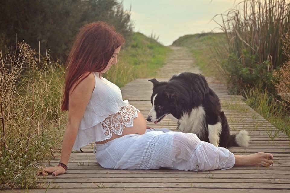 PerroUsuario's tweet image. La llegada de un nuevo miembro a la familia, no es razón para que te alejes de quien te ha dado años de #AMOR y muchas alegrías.