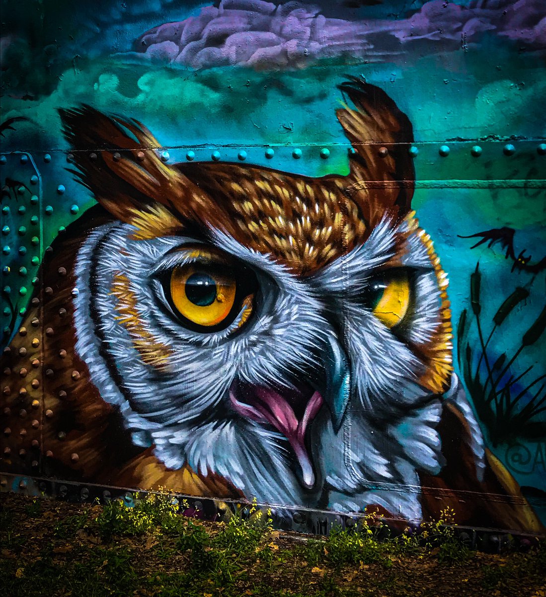 OWolffman's tweet photo. Owl 🦉
.
.
.
.
.
.
.
.
.
.
.
.
.
.
#cobbshill #wolffman_photography #art #owl #spraypaint #artist #artwork #artlover #artdaily #spraypainting #painting #photography #photooftheday #portraitphotography #owlart #updatedpost #updatedphoto #rochesterny #rochesterphotographer https://t.co/HCo53lzyox