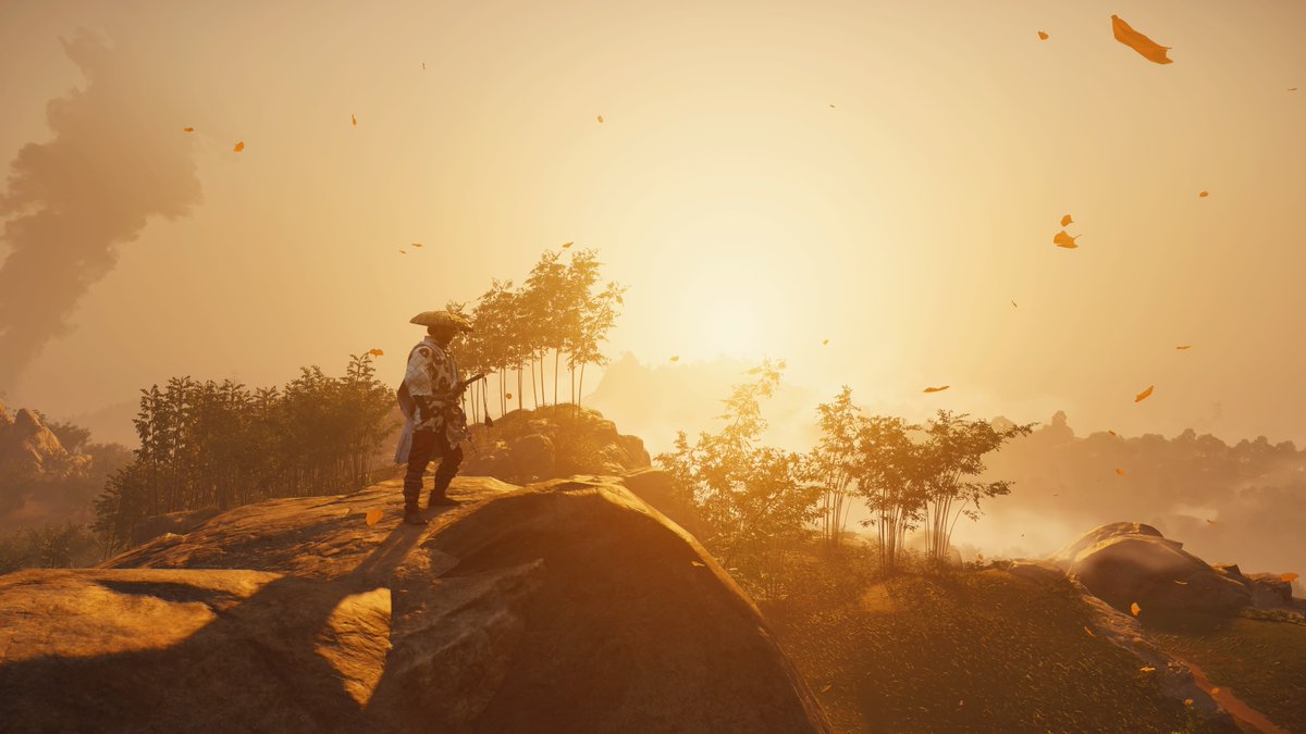 Igor Gomes tweet media