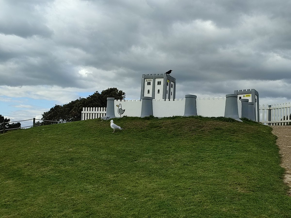 Finally visited @TheModelVillage after living here for ages ... Likes the local touches including artwork by @MyDogSighs & @FkFark ... Went up to the castle to find a seagull who then posed for me!