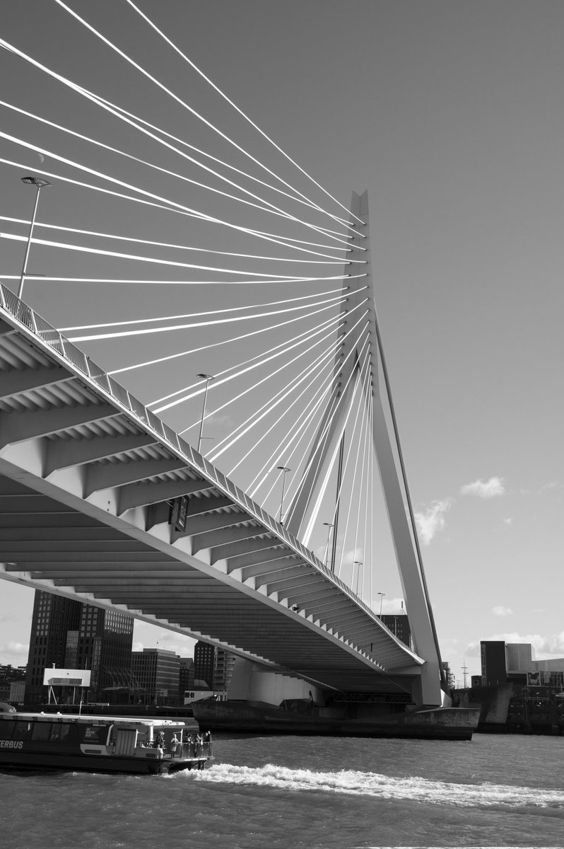 HuibRotterdam's tweet photo. Erasmusbrug gezien vanaf de @PKB_Rotterdam 
#Rotterdam https://t.co/OlnFr5NuwI