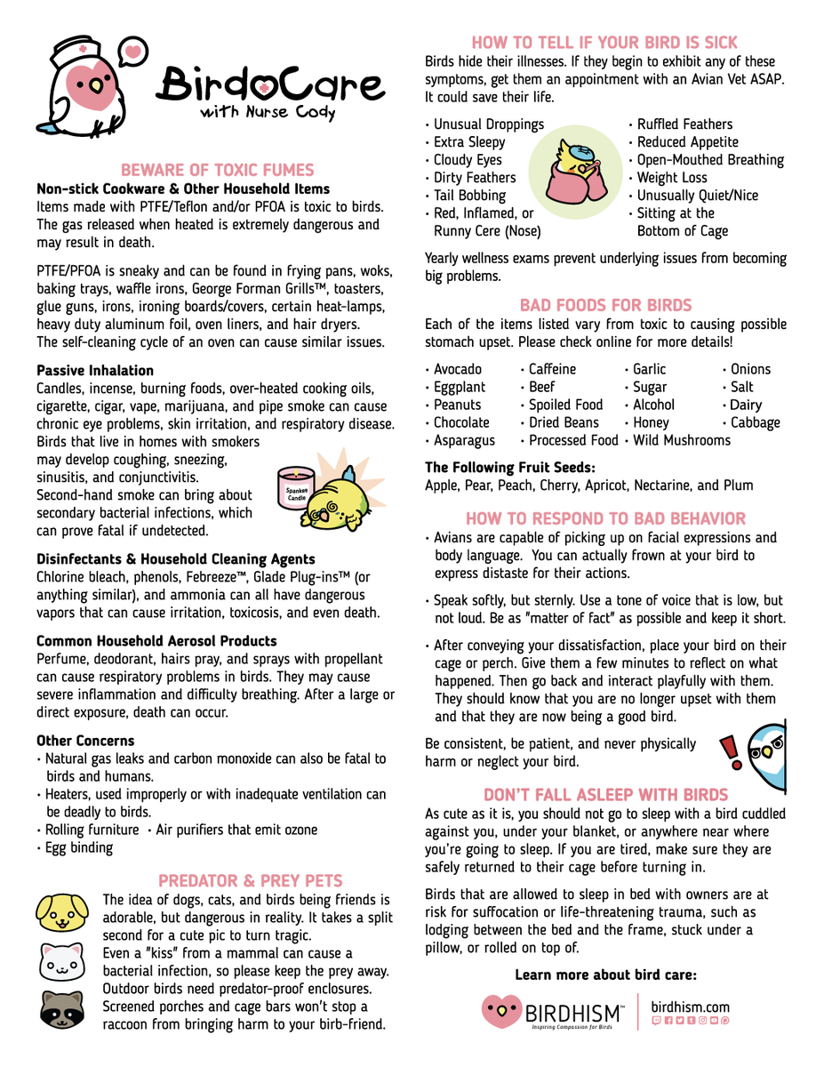 If you're looking for more detail, I have this digital handout to share. I also include a printed version in every order from birdhism.com. Also, it's on my page: birdhism.com/pages/bird-car…