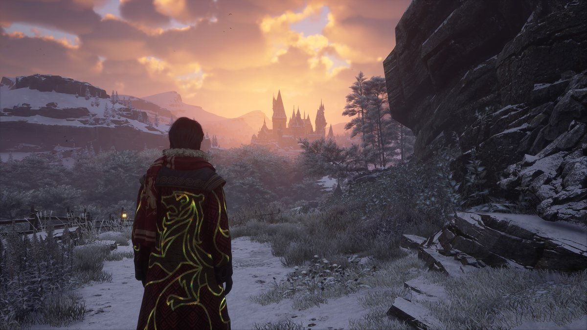 Igor Gomes tweet media