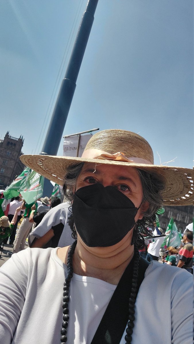 clausgr's tweet photo. Llegué al zócalo

#yosivinealzócalo

#ElINENoSeToca 
#ElINESomosTodos https://t.co/luz5MG1Irj