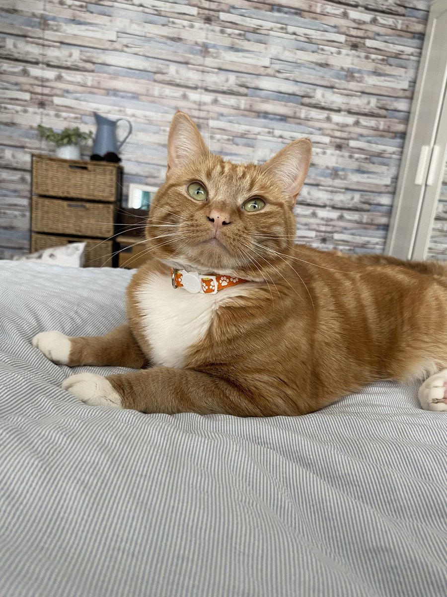 I mean, look at this thing