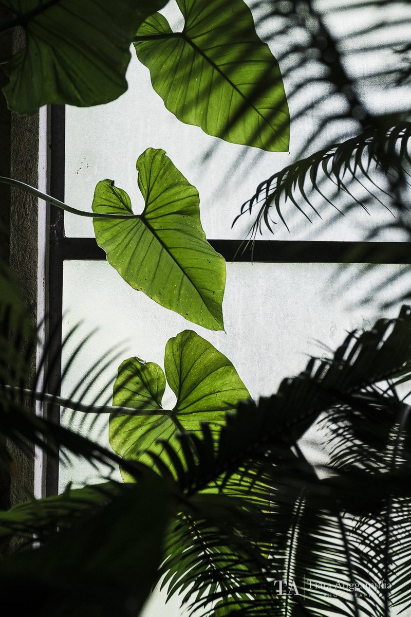TiaraAnggamulia's tweet photo. @Christchurch_NZ love the Christchurch botanic gardens #explorechc #christchurchnz https://t.co/L3fhfTOfED