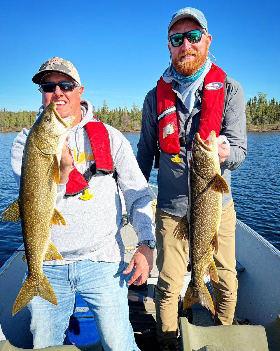 Double header lake trout on light tackle!

Casting small spoons, spinners, and swim baits for explosive strikes is a great way to spend a day on the legendary waters of Kasba Lake! 

#DoubleHeader #BlueSkies #LakeTrout #KasbaLake #KasbaLakeLodge