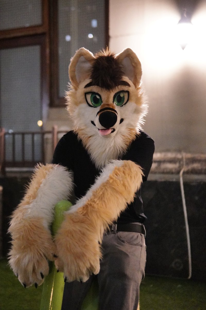 MegosDummi's tweet photo. Hai yes this is where i will stash my fursut pics

✂️: @wolf_daz https://t.co/PPcho3tu5b
