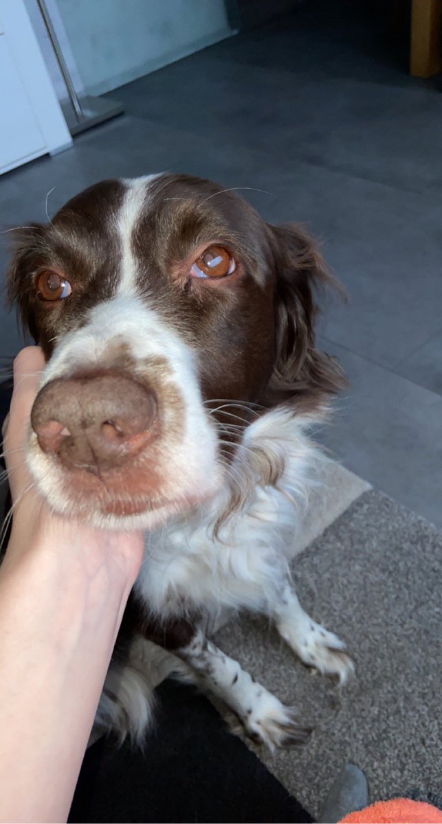 selo 🌿 tweet media