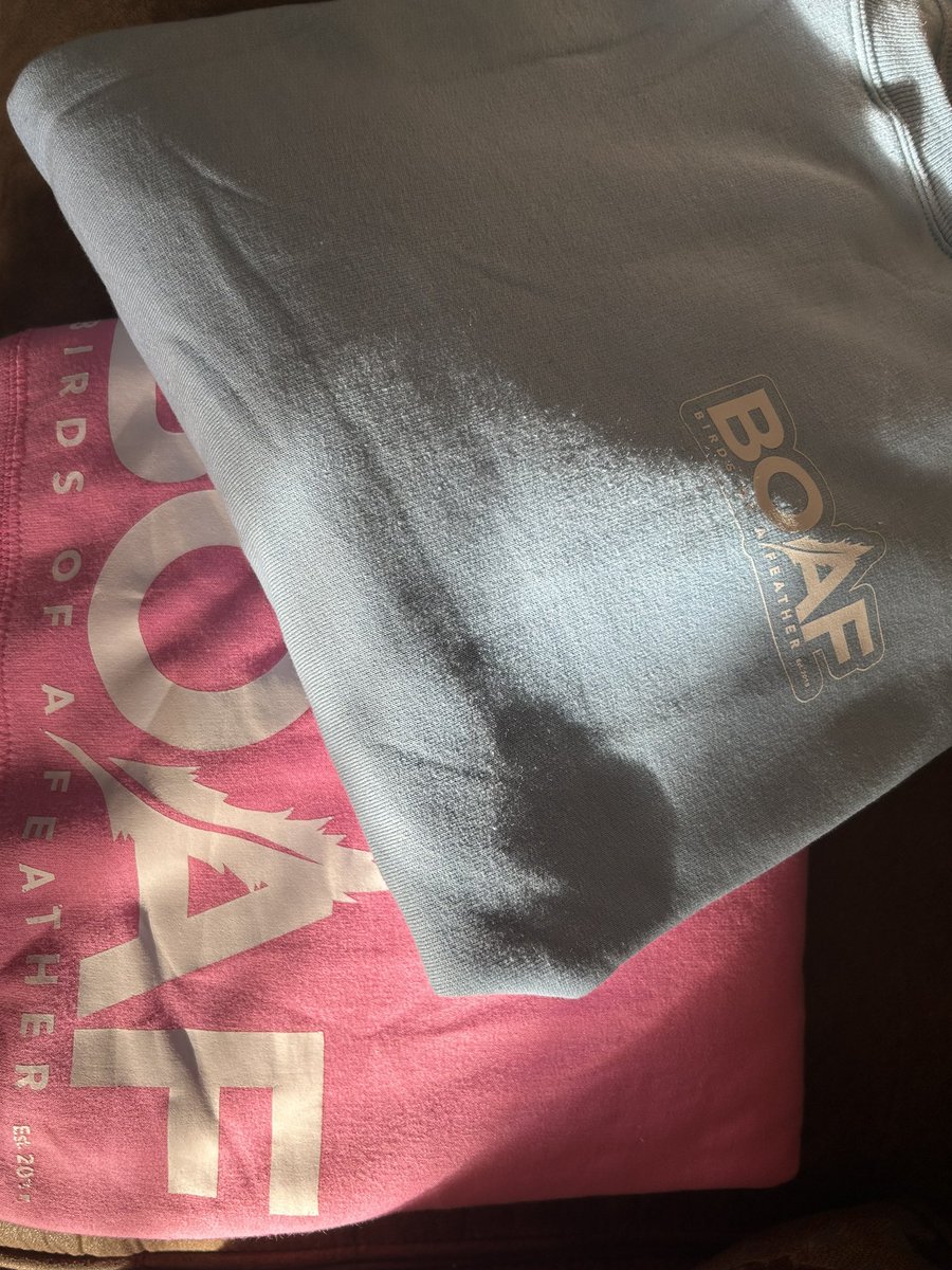 DesieryDmarie's tweet photo. The amount of support we received with these is so beautiful 🥺 beyond thankful and blessed 🫶🏼 with that being said preorders for all crewnecks close today at 6pm. All are $25 and available in sizes S-2XL 💗 Available in PINK, Babypink, Babyblue 💗 @boafseamoss https://t.co/LoNqghltJp