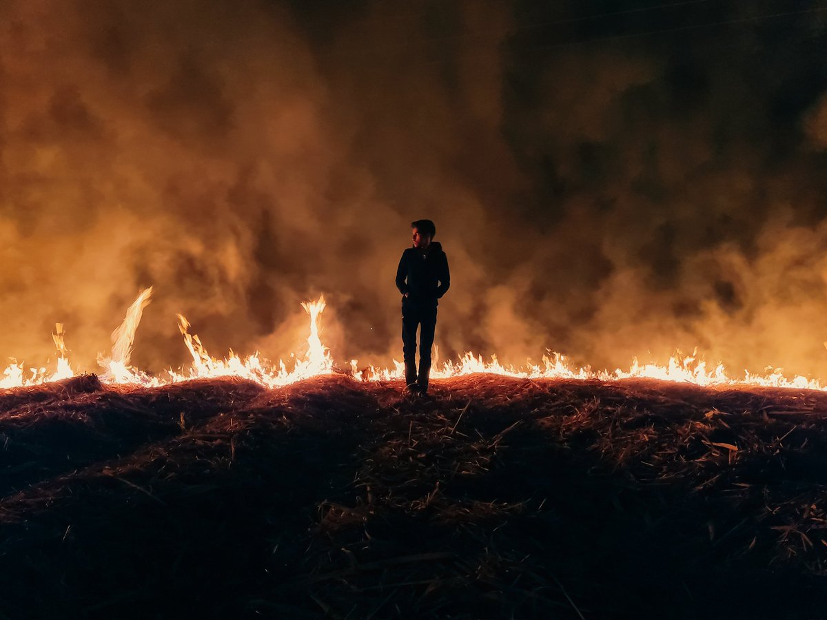 Adi_mane01's tweet photo. Love how the fire gives a cinematic look.
Hate how I can’t capture it in the amount of detail that I would’ve liked.
#WishIHadTheGalaxyS23
#withgalaxy #samsungindia #LoveForS #Nightography #SamsungMembers #ShareTheEpic
@samsungindia @samsungwithgalaxy https://t.co/lEIFrvOIQU