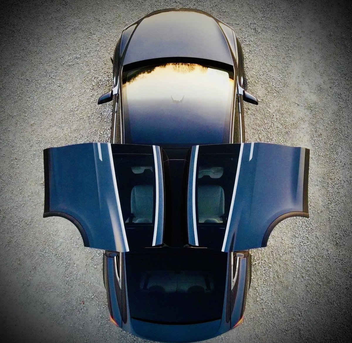 This is not a bat, it’s a Model X. 🦇 ⚡️ $TSLA