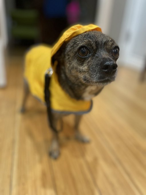 We are surviving this wild weather in LA, but it&rsquo;s no joke! https://t.co/uhZ2gdxqel<a href="/tag/artists"class="tags"><span>#artists</span></a><a href="/tag/sexeducators"class="tags"><span>#sexeducators</span></a><a href="/tag/therapists"class="tags"><span>#therapists</span></a><a href="/tag/sexologis"class="tags"><span>#sexologis</span></a>