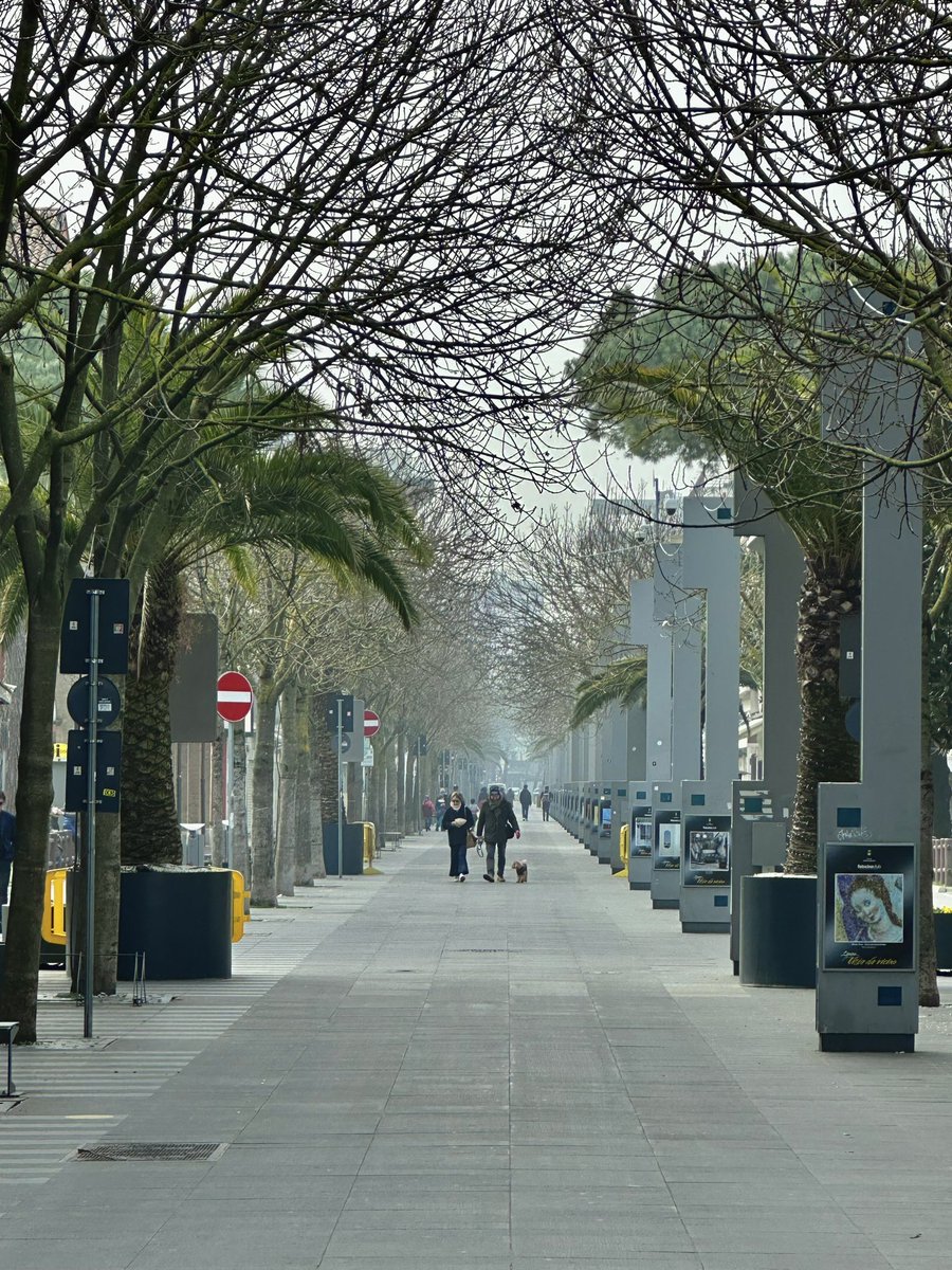 Direttamente dal viale pedonale! Buona serata a tutti amici di Lignano…❤️

#viale #centro #friuliveneziagiulia #friuli #lignanosabbiadoro #lignano