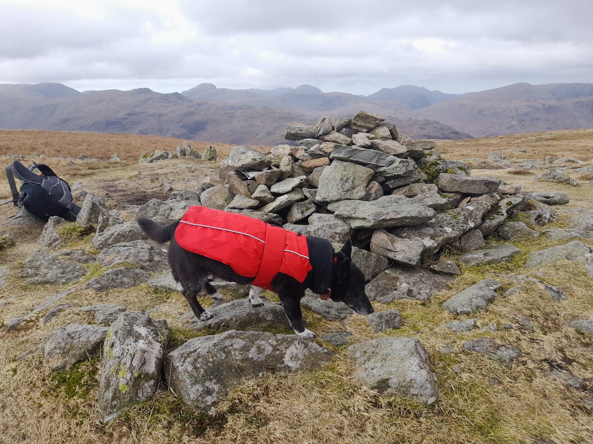 Back on it after Christmas, Ullscarf from Thirlmere, we had rain, snow, sleet, bogs in Wyth Burn and sub zero wind chill....Dad said it was shit, but I thought it was ace! #notjustlakes #lakedistrict #getoutside 119/180 #hewitts