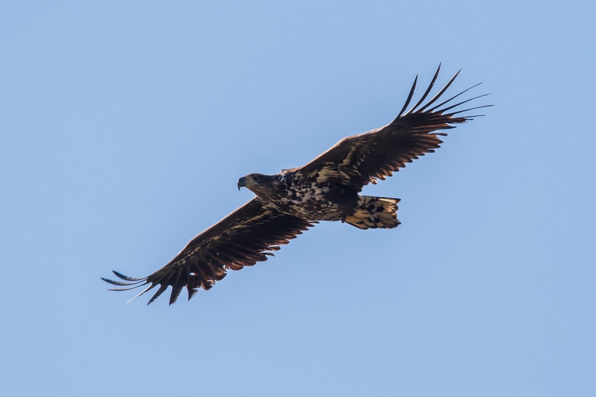 Bev Teague tweet media