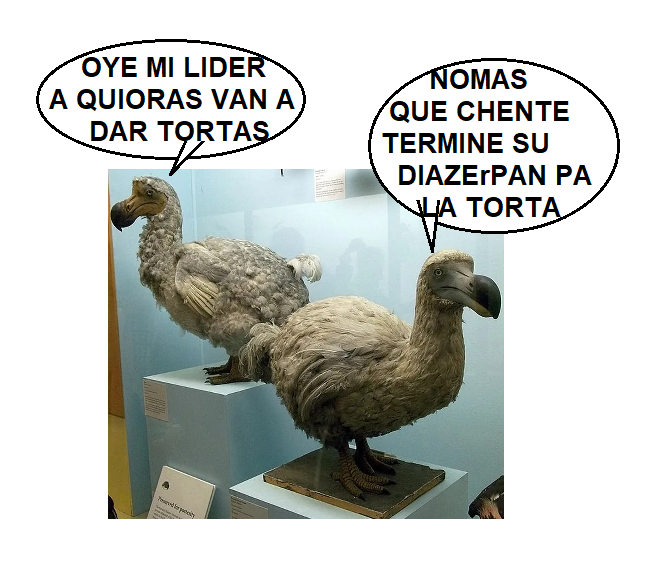 RinconadaV's tweet photo. @SinLinea_Mx https://t.co/ovs6da5k1v