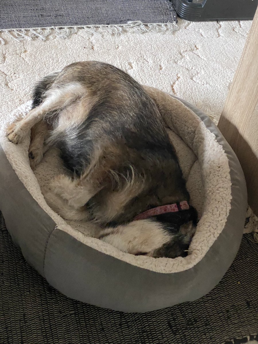 Leonie | Lyzzy tweet media