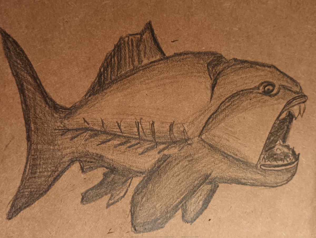 Stephanie Müller tweet media