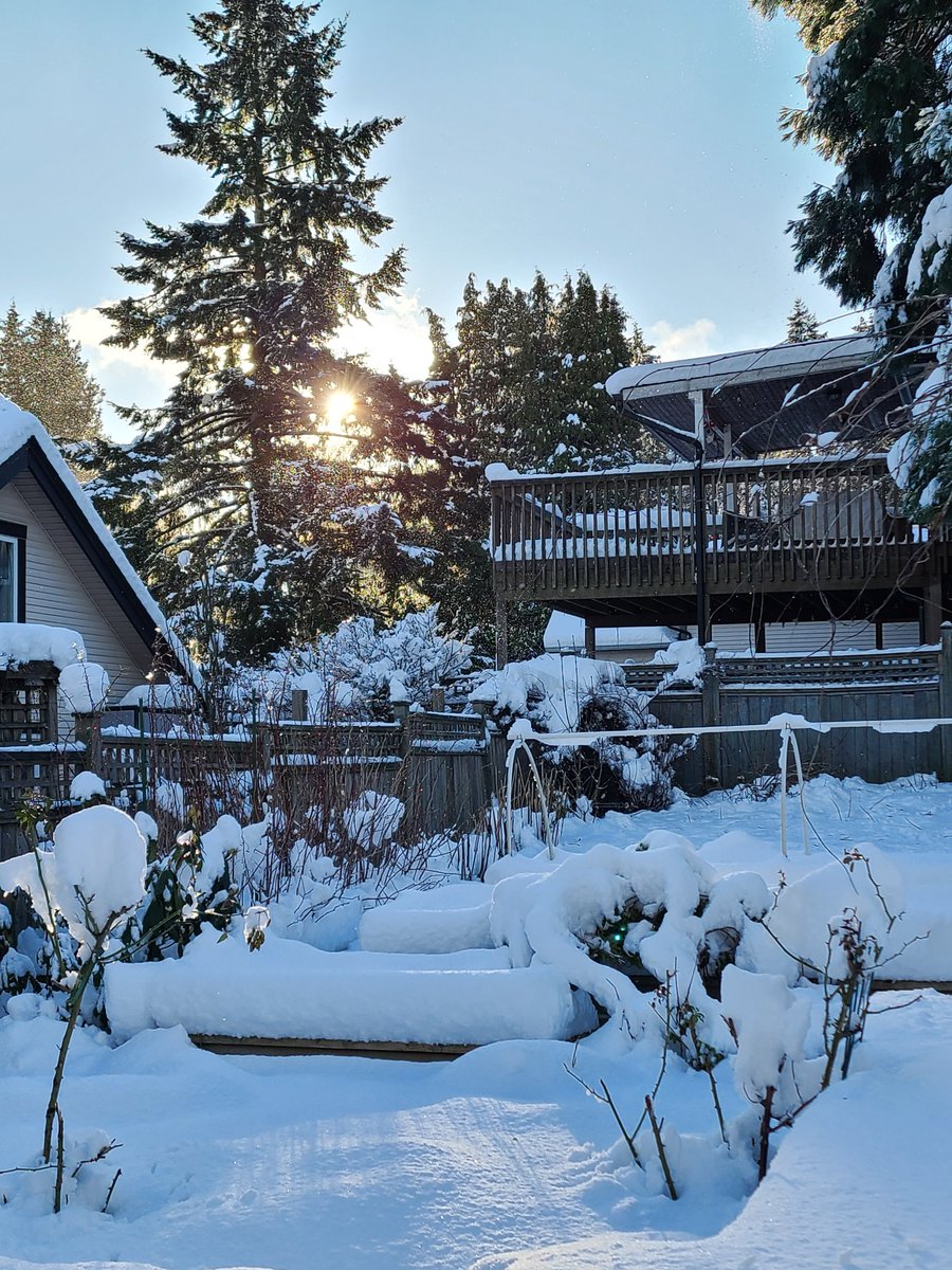 orchard_leanne's tweet photo. Winter is back for a few days https://t.co/HCHWnZhyO0