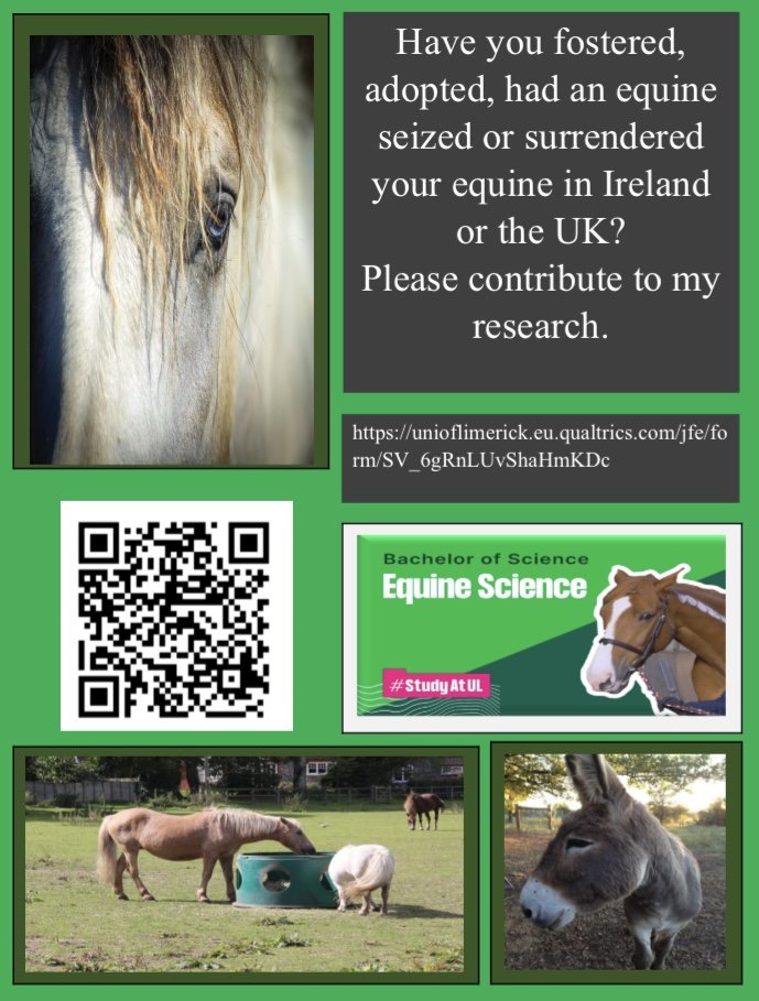 EquineScienceUL's tweet photo. Have you ever fostered or adopted an  horse or pony in the UK or Ireland? Or have you ever surrendered your Equine or had an ewyirn seized? 4th year student Niamh Kilkenny invites you to complete her survey https://t.co/1DqeZmgav8 https://t.co/kVHY6HLBKV