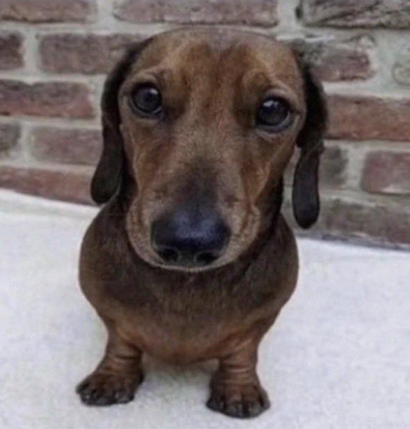 Luke 🏝️ ♡ (Alt) tweet media