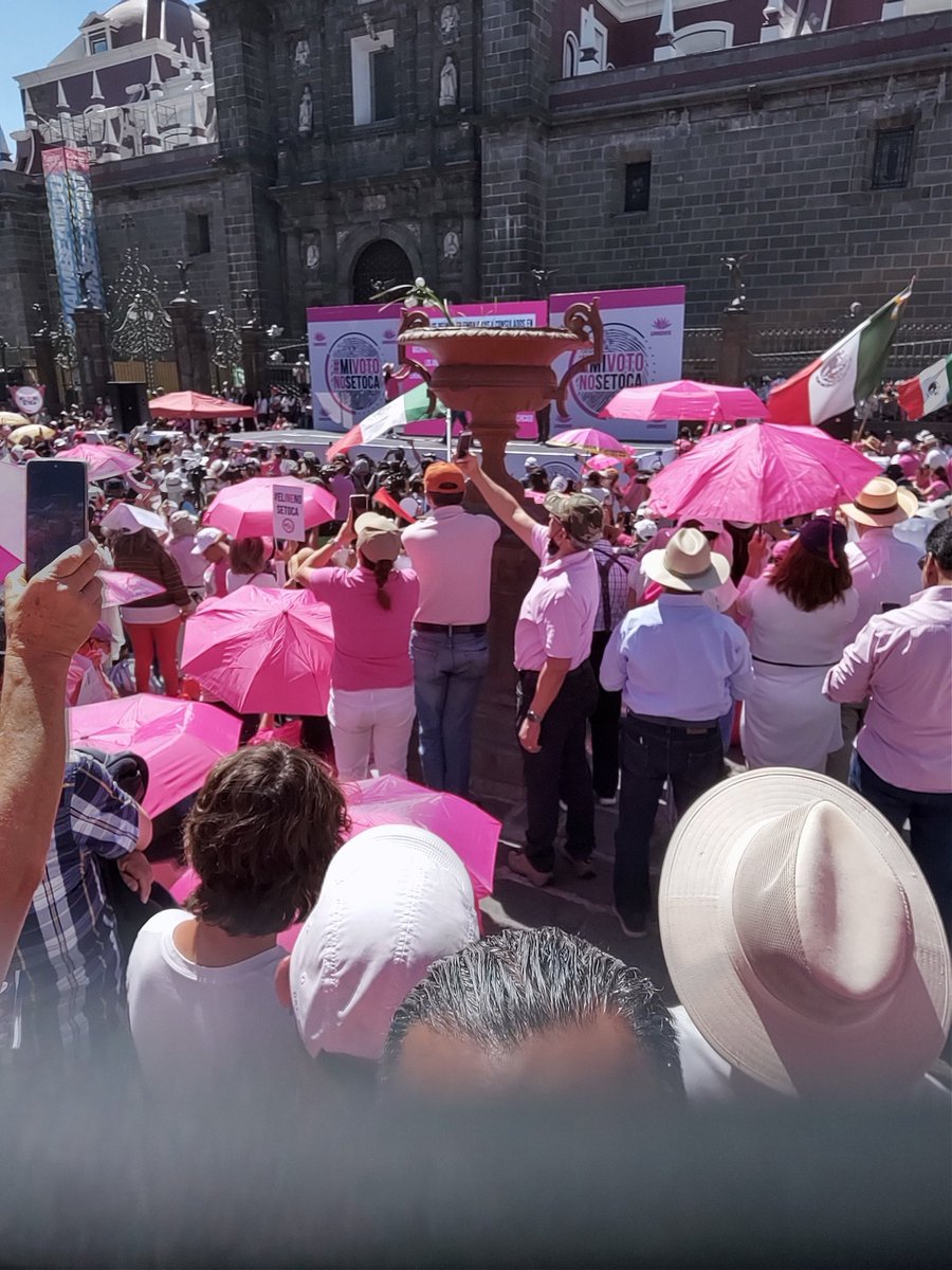 ibsnhc's tweet photo. #MiVotoNoSeToca @AtypicalTeve https://t.co/HpoI2lUs2e
