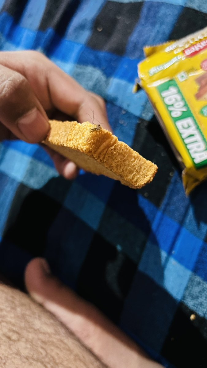 kunaltripathii's tweet image. "Hey @BritanniaIndLtd , just opened a packet of Toastea Premium Bake Rusk and found a dead mosquito stuck to one of the toasts. Really disappointed with the low standard quality. I have pictures of the issue. #Britannia #Toastea #QualityIssue "