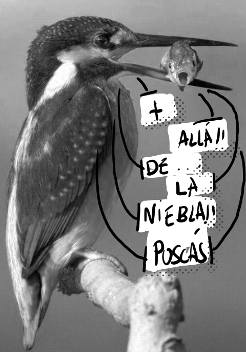 MADLNiebla's tweet photo. #MADLN https://t.co/9cyUoINKEg